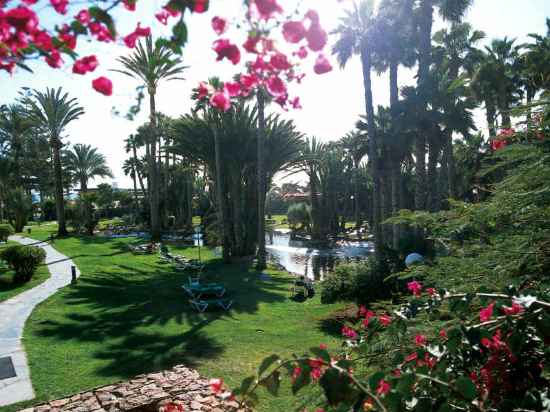 Hotel Riu Palace Oasis Hotel Exterior