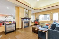 Comfort Suites Rochester Henrietta University Area Hotels in Henrietta