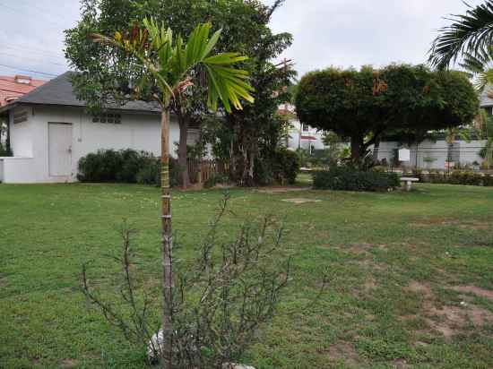 New Kingston Guest Apartment VII Hotel Exterior