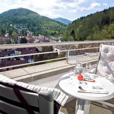 Deluxe Room 1 Queen bed Schwarzwald Panorama Promo Code