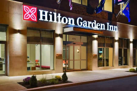 Hilton Garden Inn New York Times Square South