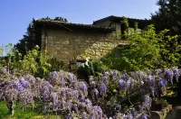 La Casa sulla Collina d'Oro