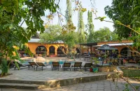 Jollyboys Backpackers Hotels near Victoria Falls Bridge