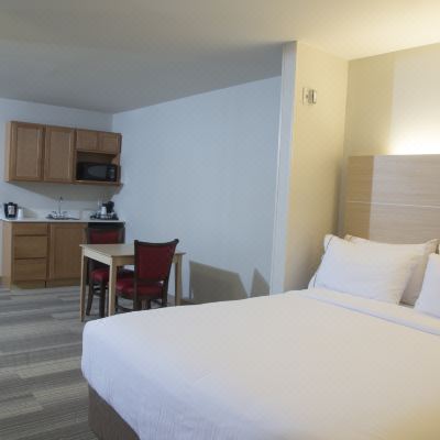 King Suite Holiday Inn Express Rochester Hills, an IHG Hotel Promo Code