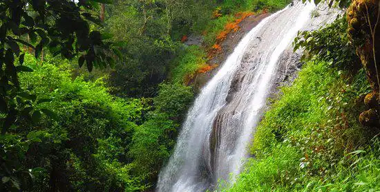 Kodagu