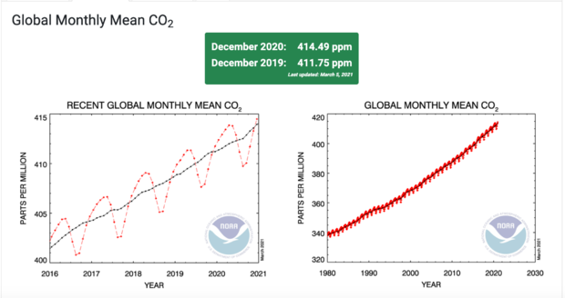 2020-global-monthly-mean.png 