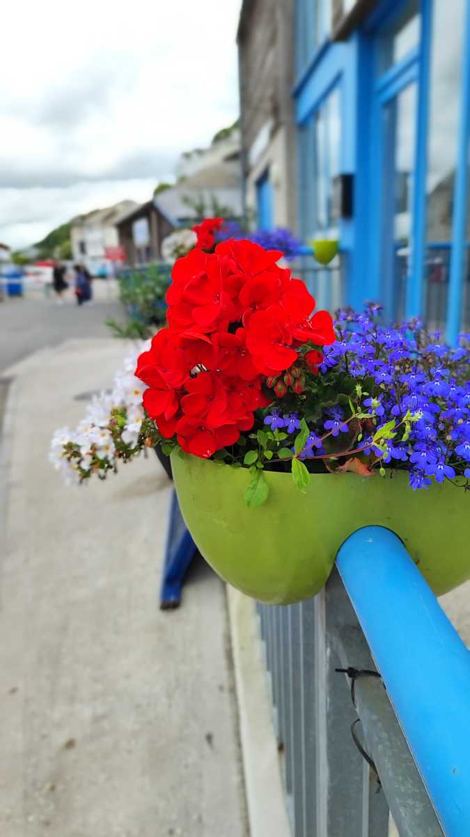 Daytime shot of flower bowl taken on Xiaomi 12 Lite