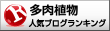 多肉植物ランキング