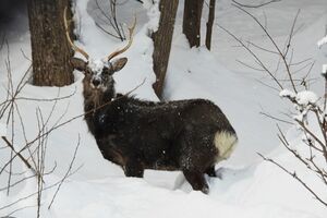 今年もよろしくお願い致します。