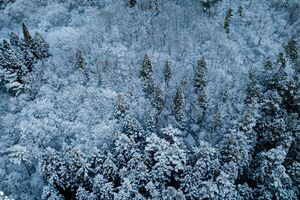 紫波町　赤沢　雪風景　空撮