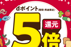 d払い、マイヤ、びはんストアでポイント5倍。本日12/29まで。