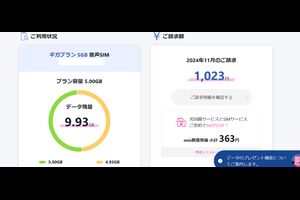 【スマホ】料金確認「格安SIM」おすすめ？ネット使わない？2025年1月