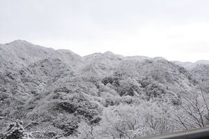 雪の箱根