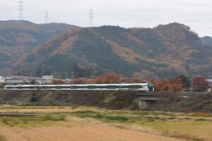 11月16日撮影　E257系5000番台　OM92編成による「あずさ85号」を流して撮影より