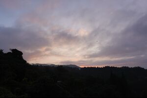 消防法　10月13日