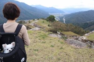 元祖、天空の城の竹田城へ