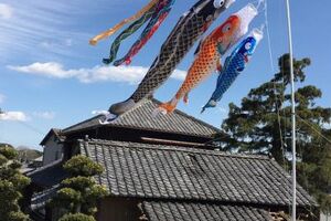 袋井市のK様の慶祝の鯉　吉兆　庭園スタンドセット