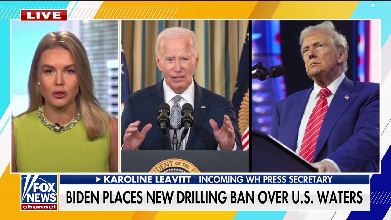 Incoming White House press secretary slams Biden admin's 'disgraceful decision' to ban oil, gas drilling