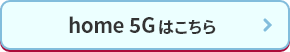 home5Gはこちら