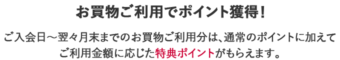 ショッピングご利用でポイント獲得！ ご入会日～翌々月末までのショッピングご利用分は、通常のポイントに加えてご利用金額に応じた特典ポイントがもらえます。