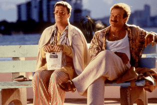 The Birdcage Nathan Lane Robin Williams