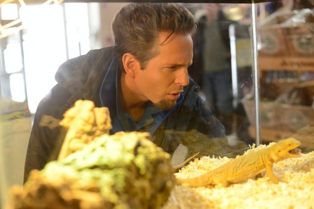 FARGO, Glenn Howerton, 'Eating The Blame', (Season 1, ep. 104, aired May 6, 2014). photo: Chris