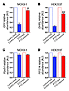 Effect of FTO overexpression on immunodepletion of m6A-methylation of ghrel