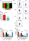 NOX2 insufficiency in CD8 Tregs from older individuals.