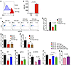 CD8 Treg-mediated suppression requires ROS production and NOX2 function.