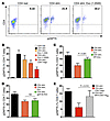 The suppressive function of CD8 Treg-derived exosomes depends on ROS produc