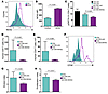 Overexpression of NOX2 rescues the suppressive activity of old CD8 Tregs.