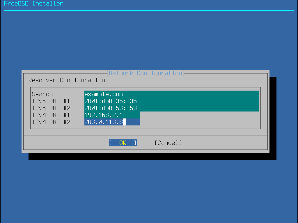 Menu requesting data to configure DNS for the network.