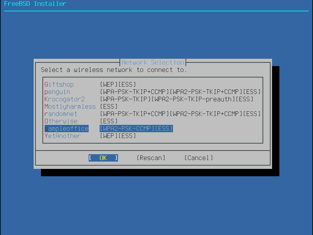 Menu showing the different wireless networks to connect to.