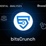 bitscrunch $bcut fundamental analysis