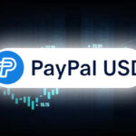 Paypal usd