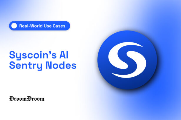 Syscoin's AI Sentry Nodes