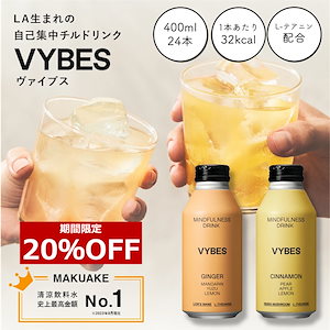 【公式】 VYBES ロサンゼルス発 マインドフルネスドリンク 24本 400ml 低カロリー チル リラクゼーション ストレスフリー カフェインレス エナジードリンク TIGRIS ティグリス