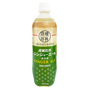 成城石井 ジンジャーエール 500ml x 24本