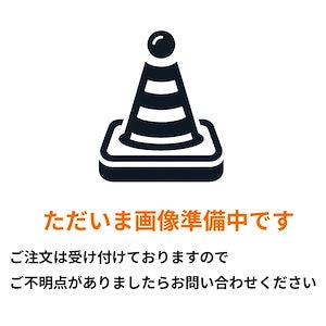 業務用 大容量バスタブクレンジング銀イオンプラス 4L