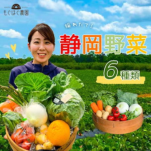 採れたて！静岡野菜セット A 6品目 野菜 旬 セット 国産 静岡県産 詰め合わせ 野菜BOX 旬野菜 産地直送 仕送り もぐはぐ