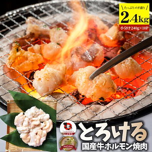 国産牛 ホルモン 2.4g (240g×10袋) ほるもん 小腸 焼肉用 お得 焼肉 やきにく アウトドア お家焼肉 レジャー 送料無料 冷凍