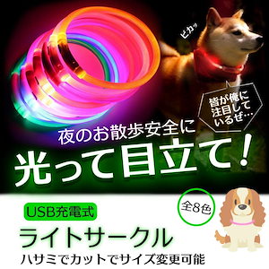 【2024限定SALE】光る首輪 犬用 充電式 レインボー 小型犬 おしゃれ 猫 犬 LEDライト ペット 中型犬最安値挑戦！【即納】