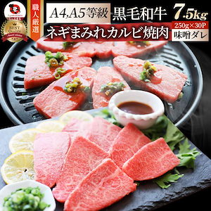 A4,A5等級 特選 黒毛和牛 カルビ焼肉 7.5kg ねぎまみれ 旨辛味噌ダレ（ A4 ～ A5等級 ）牛肉 肉 お歳暮 クリスマス ギフト 食品 お祝い 霜降り 贅沢 黒毛