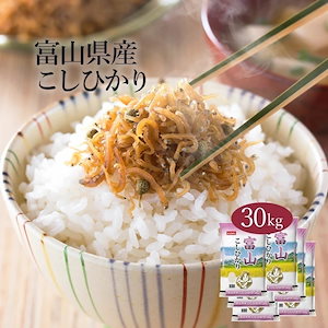 米 富山県産 こしひかり 30kg 5kg 6セット 令和6年産 お米 こめ 30キロ 安い おこめ 白米 国産 食品 ギフト 引っ越し 挨拶 内祝い お歳暮 送料無料 おくさま印