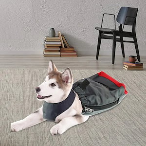 リモコン付きの小型犬用ペットバッグ,小犬の脚をドラッグするためのプロテクター,中型,ウサギ,ウサギ,脚のリハビリ用