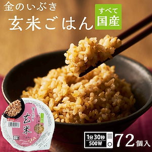 パックご飯 金のいぶき 玄米 パック 72個セット 160g 米 お米 こめ おこめ 安い レトルト食品 レトルト ご飯パック ごはん レンジ 無添加 国産 ギフト お中元 お歳暮 おくさま印