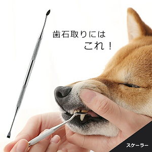 ペット用 スケーラー 歯石 歯石取り 犬 猫 ネコ 歯磨き 安全 口腔ケア 器具 犬用 猫用 ヘルスケア デンタルケア デンタルヘルス 歯石とり デンタル ペットケア ペット用品 健康 老犬 老猫