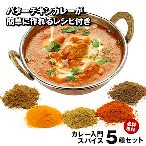 【レシピ付】 チャック付袋入 カレー 初級 スパイス 5種 大容量 100g セット スパイスカレー 手作りカレー クミン ターメリック コリアンダー チリペッパー ガラムマサラ お試し