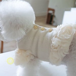 犬服 ワンピース ドッグウェア ペット服 ドレス 薔薇 コート 暖かい 防寒着 背中開き お洒落 人気 お出かけウェア パーティー 小型犬 中型犬