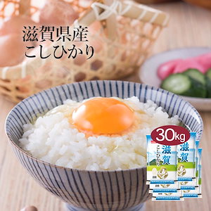 米 精米 滋賀県産 こしひかり 30kg 5kg 6セット 令和6年産 お米 こめ 30キロ 安い お米 白米 国産 食品 ギフト 引っ越し 挨拶 内祝い お歳暮 送料無料 おくさま印